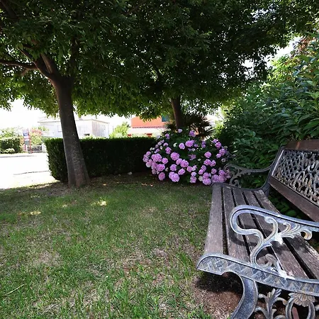 Podgorje Guest house Seline